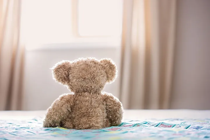 Image d'ambiance : un toutou vu de dos sur un lit, devant une fenêtre