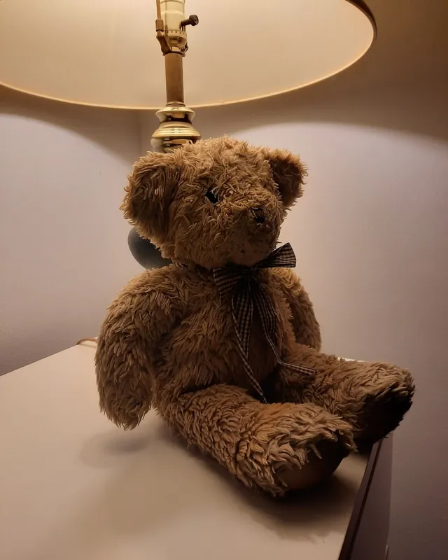 Image d'ambiance : un toutou assis sous une lampe de chevet allumée