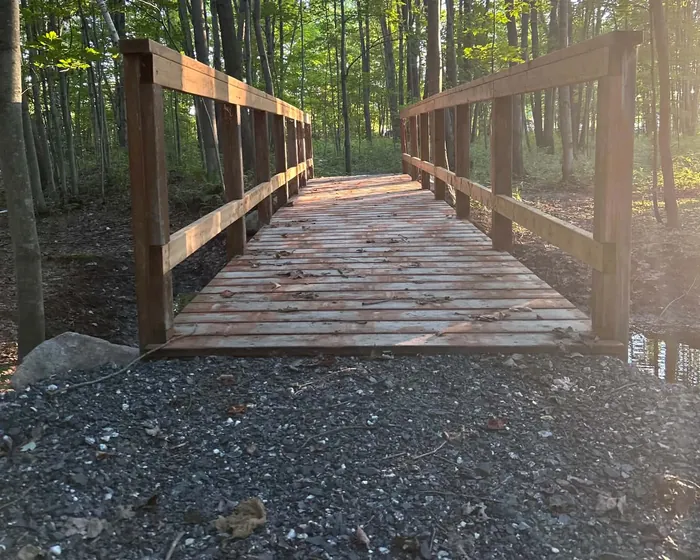 Un petit pont de bois sur un sentier en forêt