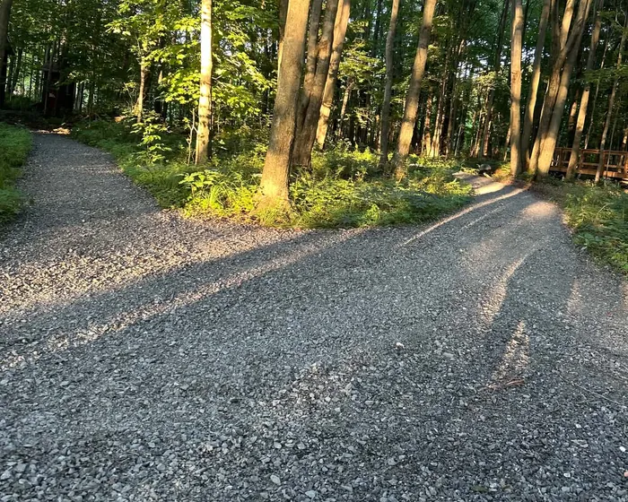 Un sentier en forêt qui se sépare en deux